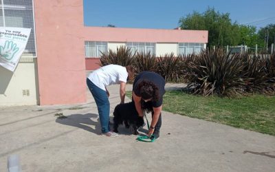 EL PUESTO MÓVIL DE LA CAMPAÑA DE VACUNACIÓN ANTIRRÁBICA POR LOS BARRIOS ESTARÁ MAÑANA (SÁBADO) DE 9 A 12 EN EL SUM TITO ALVAREZ