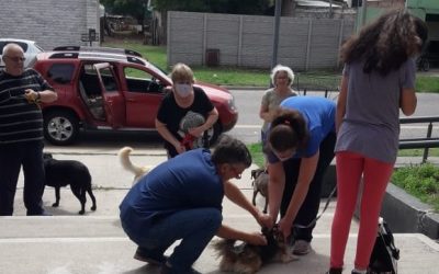 MÁS DE 1.400 PERROS Y GATOS FUERON VACUNADOS CONTRA LA RABIA POR LA POSTA ITINERANTE DE ZOONOSIS EN DISTINTOS SECTORES DE LA CIUDAD