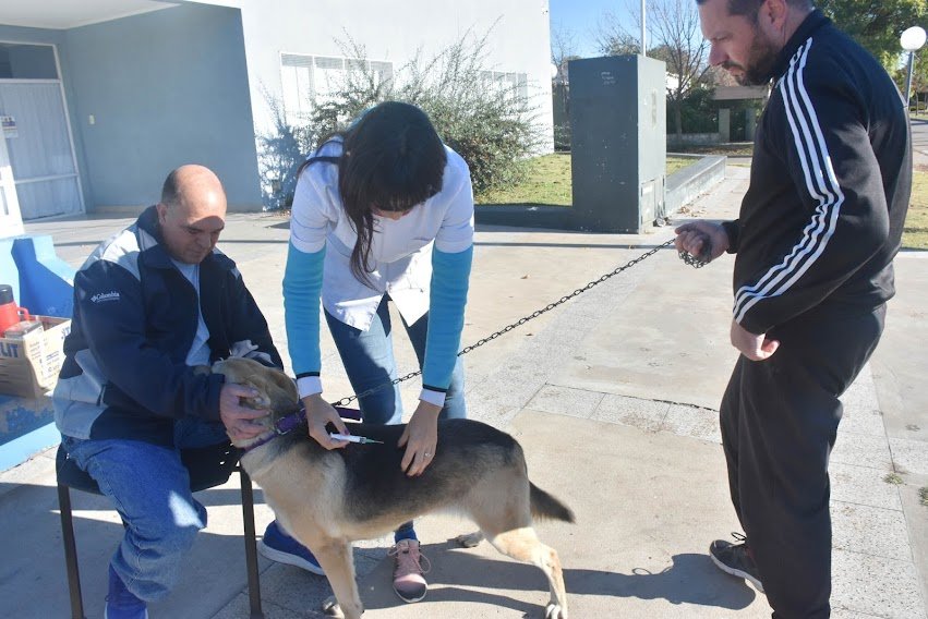 EL SÁBADO 2 DE OCTUBRE COMIENZA EN EL CAPS INDIO TROMPA LA CAMPAÑA GRATUITA DE VACUNACIÓN ANTIRRÁBICA POR LOS BARRIOS