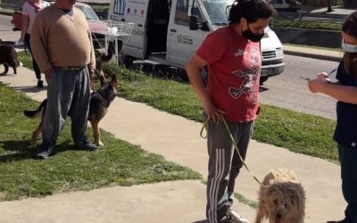 LA POSTA DE VACUNACIÓN ANTIRRÁBICA QUE RECORRE LOS BARRIOS SE INSTALARÁ EL SÁBADO EN EL CENTRO DE REFERENCIA RAMÓN CARRILLO