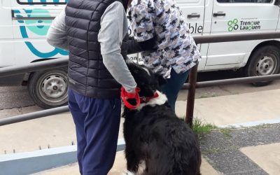 LA PLAZA DEL BARRIO ARAMENDI RECIBIRÁ ESTE SÁBADO A LA POSTA ITINERANTE DE VACUNACIÓN ANTIRRÁBICA DE MASCOTAS