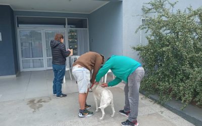 EL SÁBADO EN EL CAPS BARRIOS DEL ESTE, EL SEGUNDO CAPÍTULO DE LA CAMPAÑA DE VACUNACIÓN ANTIRRÁBICA DE MASCOTAS POR LOS BARRIOS