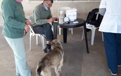 EN LA PLAZA DEL BARRIO ARAMENDI SE INSTALARÁ ESTE SÁBADO EL PUESTO MÓVIL DE LA CAMPAÑA GRATUITA DE VACUNACIÓN ANTIRRÁBICA