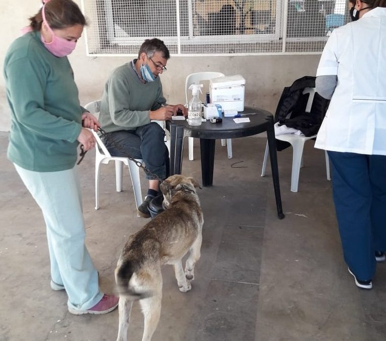 EN LA PLAZA DEL BARRIO ARAMENDI SE INSTALARÁ ESTE SÁBADO EL PUESTO MÓVIL DE LA CAMPAÑA GRATUITA DE VACUNACIÓN ANTIRRÁBICA