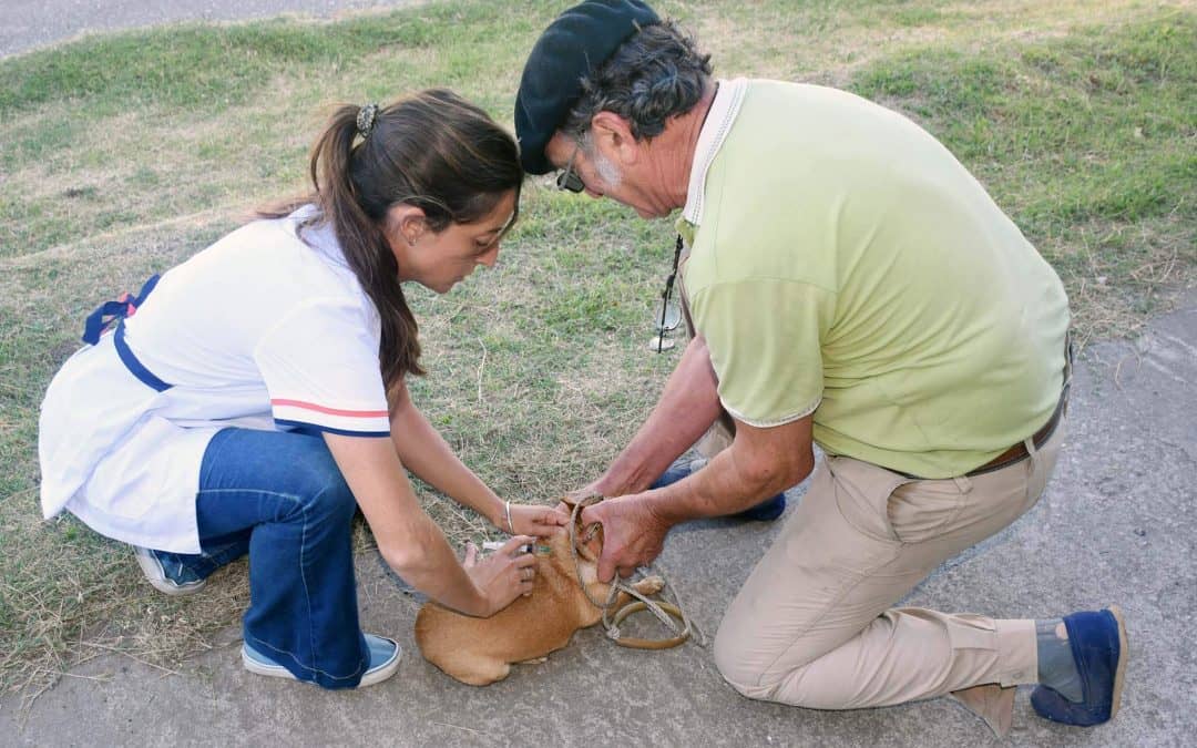 VACUNACIÓN DE MASCOTAS CONTRA LA RABIA: EL PUESTO MÓVIL SE INSTALARÁ EL SÁBADO EN EL JARDÍN MUNICIPAL RINCÓN DE LUZ