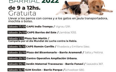 EL SÁBADO EN PLAZA SAN MARTÍN SE VACUNARÁ MASCOTAS CONTRA LA RABIA Y SE PROMOVERÁ LA COLOCACIÓN DE MICROCHIPS EN LOS PERROS PARA SU IDENTIFICACIÓN