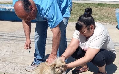 LA CAMPAÑA DE VACUNACIÓN ANTIRRÁBICA POR LOS BARRIOS SIGUE MAÑANA (SÁBADO) EN EL SUM DEL PROGRAMA ENVIÓN