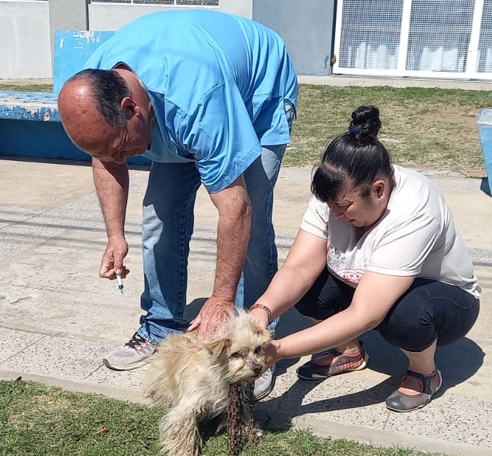 LA CAMPAÑA DE VACUNACIÓN ANTIRRÁBICA POR LOS BARRIOS SIGUE MAÑANA (SÁBADO) EN EL SUM DEL PROGRAMA ENVIÓN