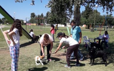 EL PUESTO ITINERANTE DE LA CAMPAÑA DE VACUNACIÓN ANTIRRÁBICA ATIENDE MAÑANA (SÁBADO) EN BARRIO PARQUE