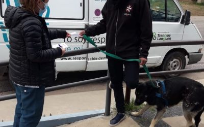 EL PUESTO DE VACUNACIÓN ANTIRRÁBICA DE MASCOTAS SE INSTALARÁ ESTE SÁBADO DE 9 A 12 EN EL SUM CHIQUITO TELLO