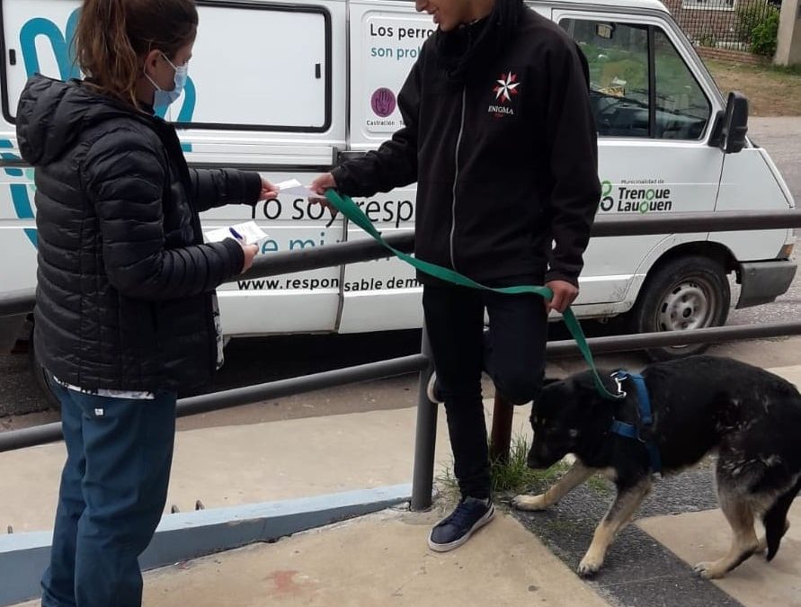 EL PUESTO DE VACUNACIÓN ANTIRRÁBICA DE MASCOTAS SE INSTALARÁ ESTE SÁBADO DE 9 A 12 EN EL SUM CHIQUITO TELLO