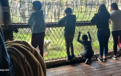 VISITA DEL PEQUEÑO HOGAR A TEMAIKEN: UNA EXPERIENCIA PARA APRENDER Y DIVERTIRSE