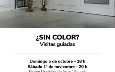 VISITA GUIADA POR LA MUESTRA “¿SIN COLOR? COLECCIÓN FUNDACIÓN OSDE, ESTE DOMINGO (5) EN EL MUMAV