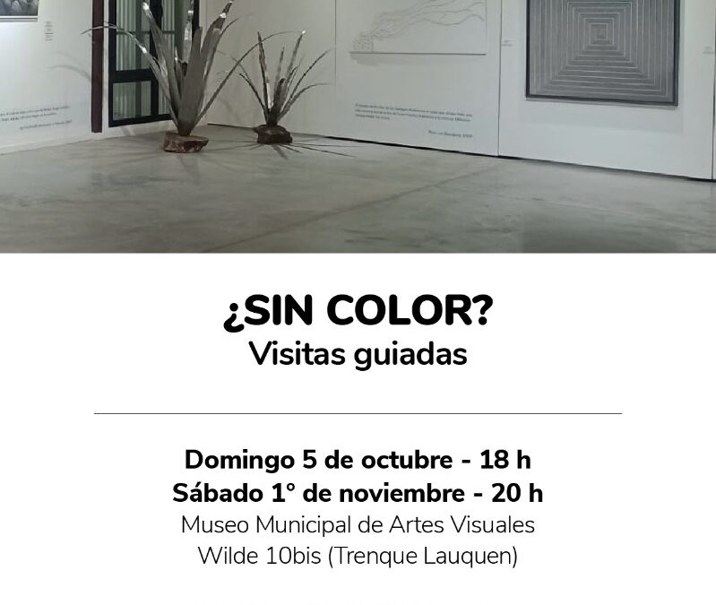 VISITA GUIADA POR LA MUESTRA “¿SIN COLOR? COLECCIÓN FUNDACIÓN OSDE, ESTE DOMINGO (5) EN EL MUMAV