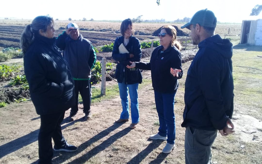 EL COORDINADOR TERRITORIAL HORTÍCOLA Y FRUTÍCOLA DE PROVINCIA HIZO UNA RECORRIDA TÉCNICA POR LA UNIDAD PRODUCTIVA EL “GANCHO” Y LA HUERTA DE LA AMPLIACIÓN