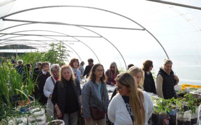 PRESENTACIÓN Y RECORRIDA EN EL REMODELADO Y AMPLIADO VIVERO MUNICIPAL, UN SALTO DE CALIDAD EN LA POLÍTICA DE ARBOLADO URBANO