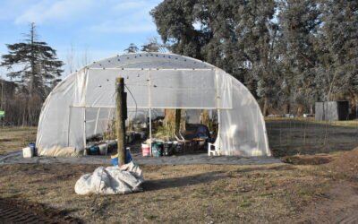 CAMPAÑA DE ARBOLADO 2025: CIERRA LA INSCRIPCIÓN Y EL MUNICIPIO INICIA LA COLOCACIÓN DE LAS ESPECIES DE VEREDA