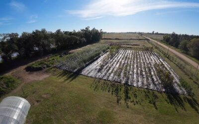 EL PRÓXIMO LUNES SE HARÁ LA PRESENTACIÓN DE LA REMODELACIÓN Y AMPLIACIÓN DEL VIVERO MUNICIPAL