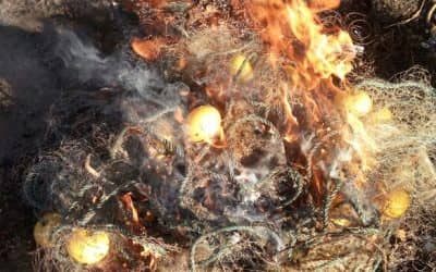 Se realizaron tres operativos contra la pesca clandestina