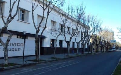 SE HARA UN CENSO DE ARBOLADO PUBLICO PARA DESPUÉS CREAR E IMPLEMENTAR UN PLAN INTEGRAL DE FORESTACIÓN