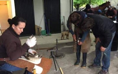 ESTÁ ABIERTA LA INSCRIPCIÓN PARA UN CURSO DE DESVASADO Y HERRADO EN LA SOCIEDAD RURAL