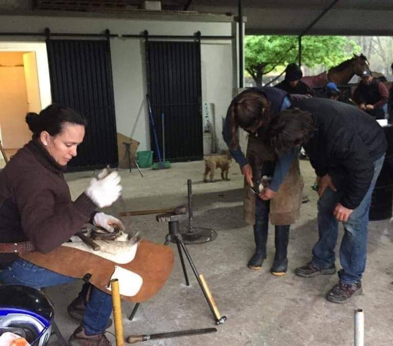 ESTÁ ABIERTA LA INSCRIPCIÓN PARA UN CURSO DE DESVASADO Y HERRADO EN LA SOCIEDAD RURAL