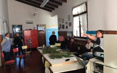 EN LA ESCUELA DE LA ELVIRA SE DESARROLLÓ EL PRIMER ENCUENTRO SOBRE CORTINAS FORESTALES