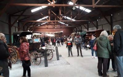 TRAS LA INAUGURACIÓN, EN  SOLO DOS DÍAS PASARON MÁS DE 300 PERSONAS POR EL MUSEO DE LOS CARRUAJES