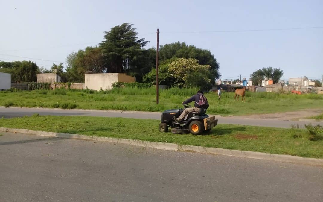 ESPACIOS VERDES INTENSIFICA EL CORTE DE CÉSPED EN PARQUES, PLAZAS, ACCESOS Y RAMBLAS CON UN EQUIPO DE 45 OPERARIOS