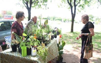 A NO OLVIDARSE: MAÑANA, COMO TODOS LOS SÁBADOS, HABRÁ FERIA ECOFINES VERDE EN LA PLAZOLETA BROWN, EN AMEGHINO Y UGARTE