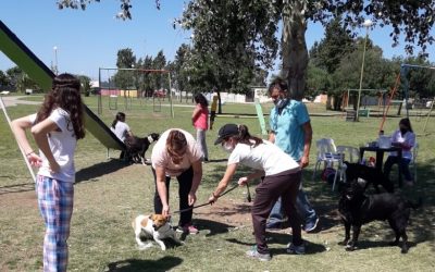 CAMPAÑA GRATUITA DE VACUNACIÓN ANTIRRÁBICA POR LOS BARRIOS: SE VACUNARON OTRAS 165 MASCOTAS EN LA PLAZA DE BARRIO ARAMENDI