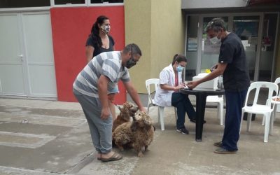CAMPAÑA GRATUITA DE VACUNACIÓN ANTIRRÁBICA POR LOS BARRIOS: ZOONOSIS MUNICIPAL VACUNÓ 133 MASCOTAS EN EL CAPS AMEGHINO