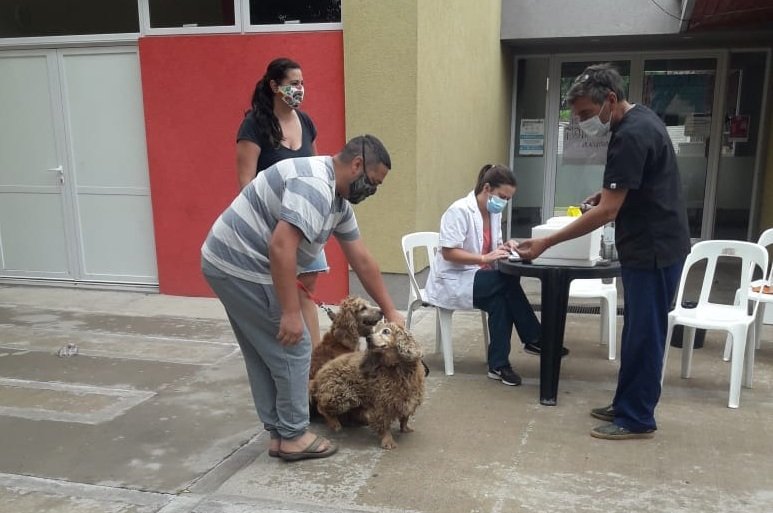 CAMPAÑA GRATUITA DE VACUNACIÓN ANTIRRÁBICA POR LOS BARRIOS: ZOONOSIS MUNICIPAL VACUNÓ 133 MASCOTAS EN EL CAPS AMEGHINO