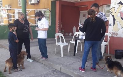 CAMPAÑA GRATUITA DE VACUNACIÓN ANTIRRÁBICA POR LOS BARRIOS: ZOONOSIS MUNICIPAL VACUNÓ OTRAS 212 MASCOTAS EN BARRIO PARQUE