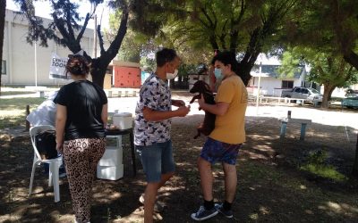 LA CAMPAÑA GRATUITA DE VACUNACIÓN ANTIRRÁBICA POR LOS BARRIOS ATENDIÓ A 1.713 MASCOTAS: 1.323 PERROS Y 390 GATOS