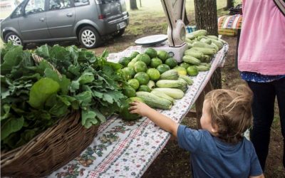 MAÑANA (SÁBADO) EN LA PLAZOLETA BROWN, LA PRIMERA FERIA ECOFINES VERDE DEL AÑO