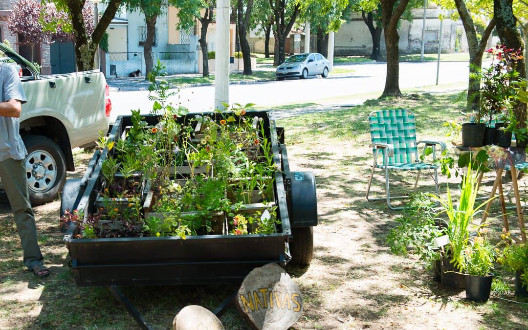 SÁBADO DE ECOFINES VERDE EN LA PLAZOLETA ALMIRANTE BROWN