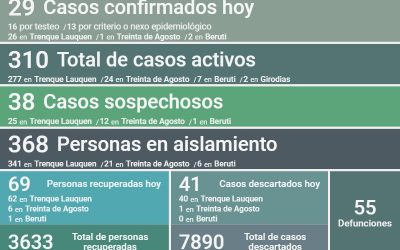 COVID-19: CON 29 NUEVOS CASOS CONFIRMADOS Y 69 PERSONAS MÁS RECUPERADAS, HOY LOS CASOS ACTIVOS SON 310