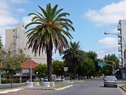 DESDE ESTA NOCHE (VIERNES) EL HORARIO DE CIRCULACIÓN PERMITIDO SE EXTENDERÁ HASTA LAS 2 DE LA MAÑANA