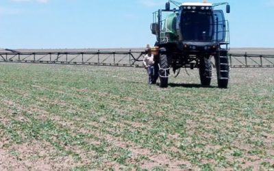 EL LUNES COMIENZA EL CURSO VIRTUAL PARA QUE LOS APLICADORES TERRESTRES SAQUEN O RENUEVEN EL CARNET ANUAL MUNICIPAL