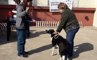 LA POSTA DE VACUNACIÓN ANTIRRÁBICA QUE RECORRE LOS BARRIOS VACUNÓ OTROS 190 PERROS Y 30 GATOS EN EL SUM CHIQUITO TELLO