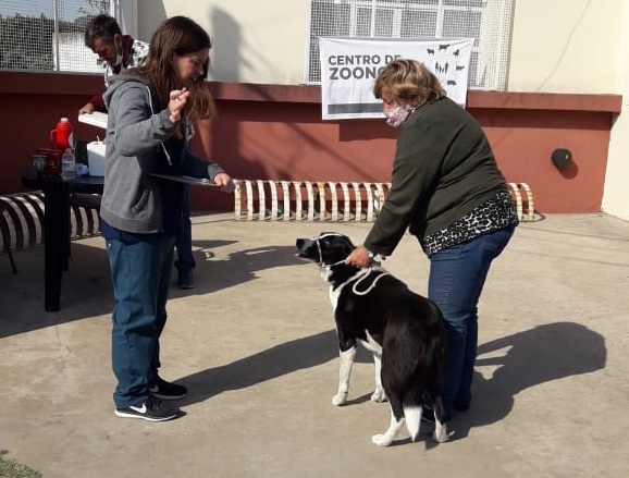 LA POSTA DE VACUNACIÓN ANTIRRÁBICA QUE RECORRE LOS BARRIOS VACUNÓ OTROS 190 PERROS Y 30 GATOS EN EL SUM CHIQUITO TELLO