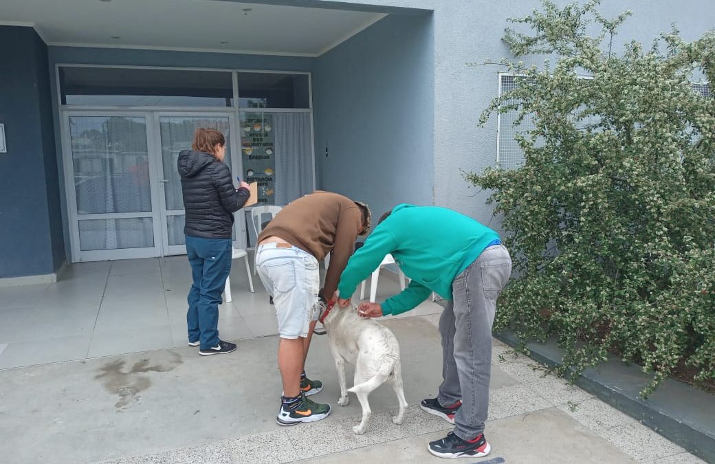ZOONOSIS VACUNÓ CONTRA LA RABIA OTROS 170 PERROS Y GATOS EN LA POSTA MÓVIL QUE INSTALÓ EN EL JARDÍN TRAVESURAS/BARRIO FONAVI