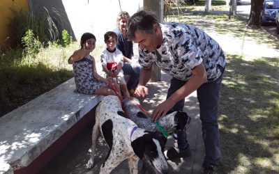 ZOONOSIS VACUNÓ CONTRA LA RABIA OTROS 304 PERROS Y 75 GATOS EN LA POSTA ITINERANTE QUE ESTUVO EN EL SUM ENVIÓN / BARRIO PARQUE