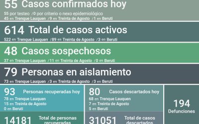 COVID-19: CON OTRAS 93 PERSONAS RECUPERADAS, 55 NUEVOS CASOS CONFIRMADOS Y 80 CASOS DESCARTADOS, LOS CASOS ACTIVOS SON 614