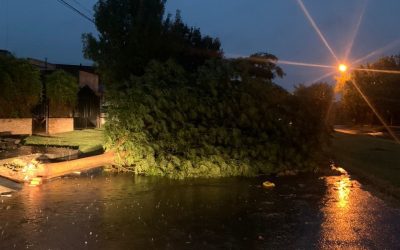 OPERATIVO DE HIGIENE URBANA, ESPACIOS VERDES Y DEFENSA CIVIL DEL MUNICIPIO, JUNTO A BOMBEROS Y LA COOPERATIVA ELÉCTRICA, POR LA TORMENTA DE VIENTO Y AGUA QUE TIRÓ ÁRBOLES Y PLANTAS