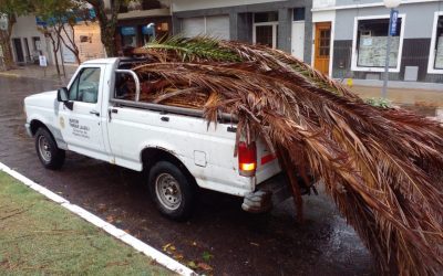 POR EL TEMPORAL DE FUERTES VIENTOS Y AGUA, EL MUNICIPIO PIDE A LA COMUNIDAD QUE PERMANEZCA EN SUS CASAS DE MANERA PREVENTIVA