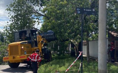 PERSONAL MUNICIPAL SIGUE REALIZANDO TRABAJOS DE LIMPIEZA, PODA Y RECOLECCIÓN EN LA CIUDAD Y SE HIZO UN RELEVAMIENTO DE ÁRBOLES EN RIESGO EN ESPACIOS PÚBLICOS