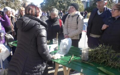 ENTREGA DE ESTACAS DE ROSALES DE LA PLAZA: GRAN INTERÉS DE LA COMUNIDAD