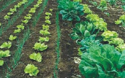 Se realiza mañana una reunión con productores sobre herramientas agroecológicas